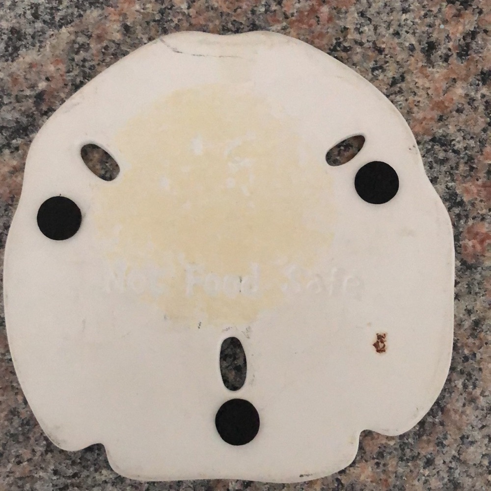 2pc Sand Dollar DECOR - Picture 7 of 8